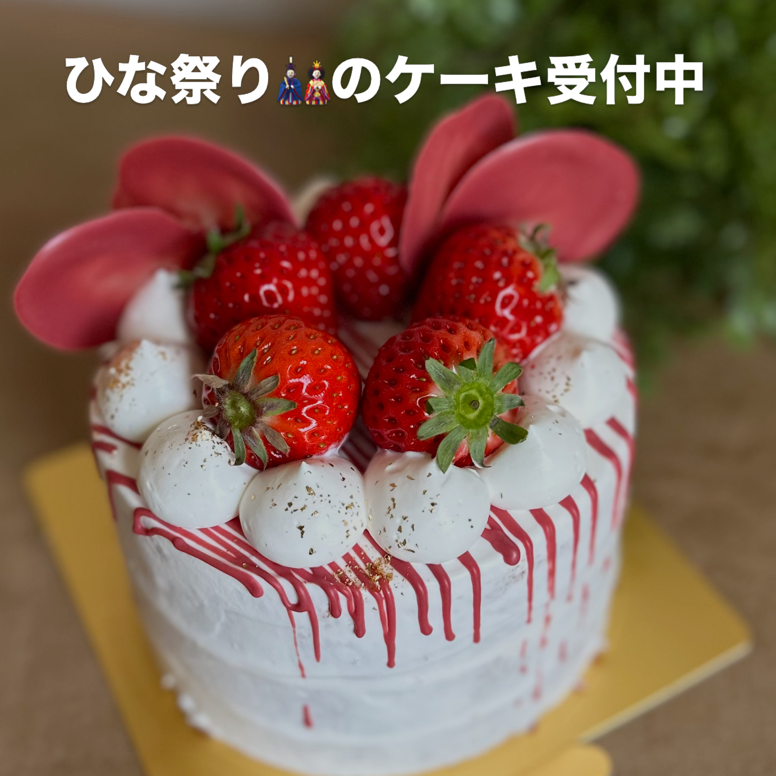 ひなまつりケーキ受付中